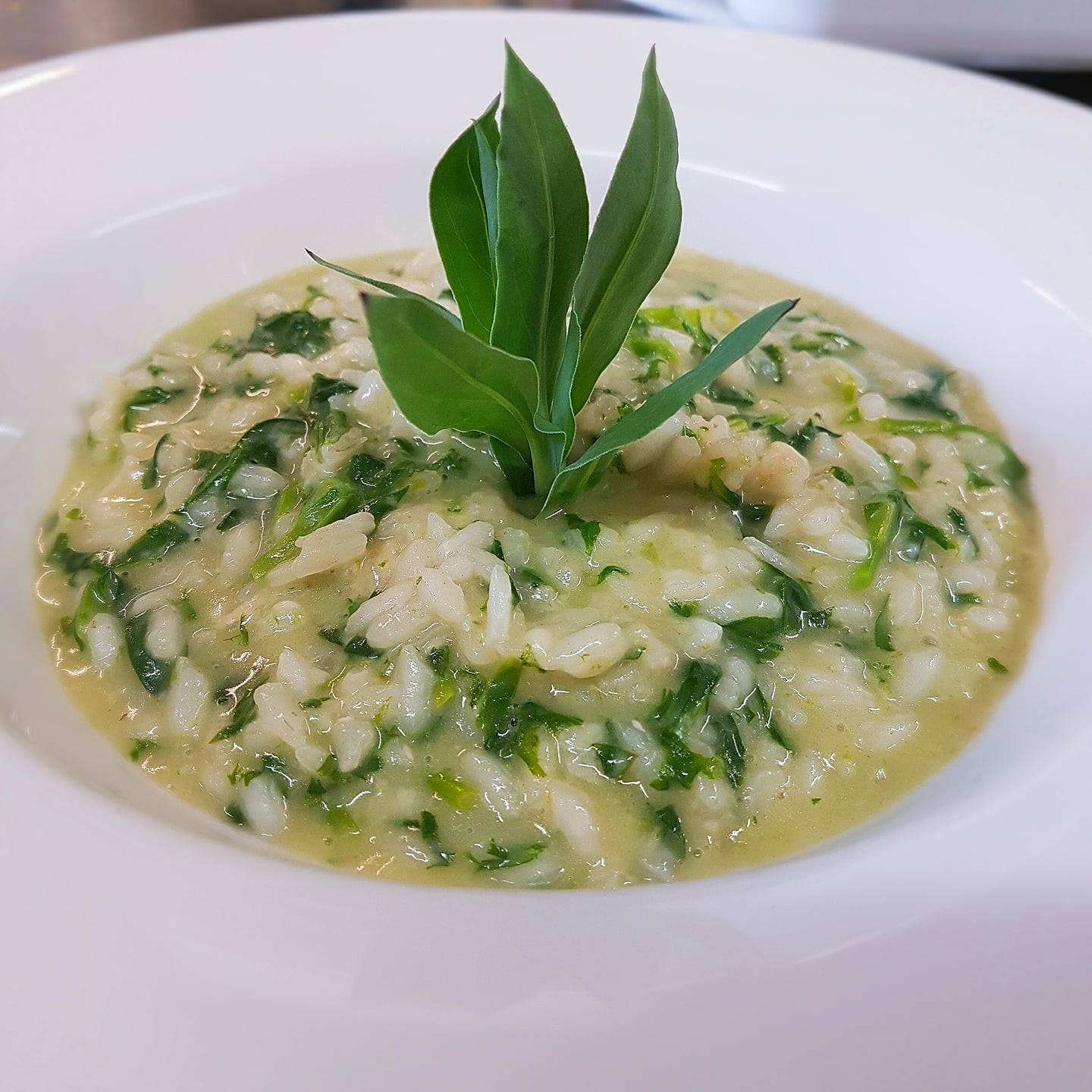 17807284_1837779889875815_631152913680983419_o