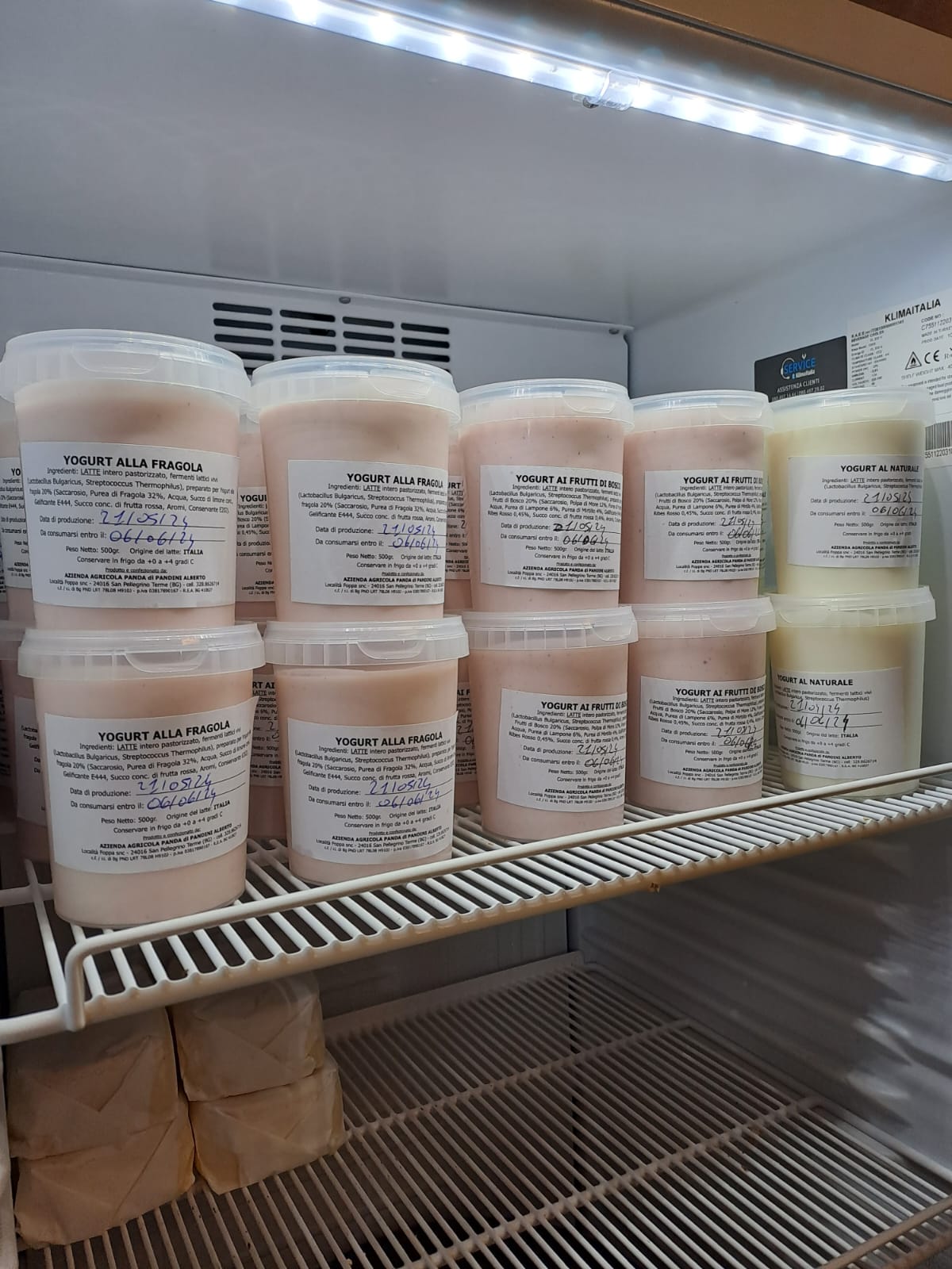 WhatsApp-Image-2024-05-27-at-10.45.44