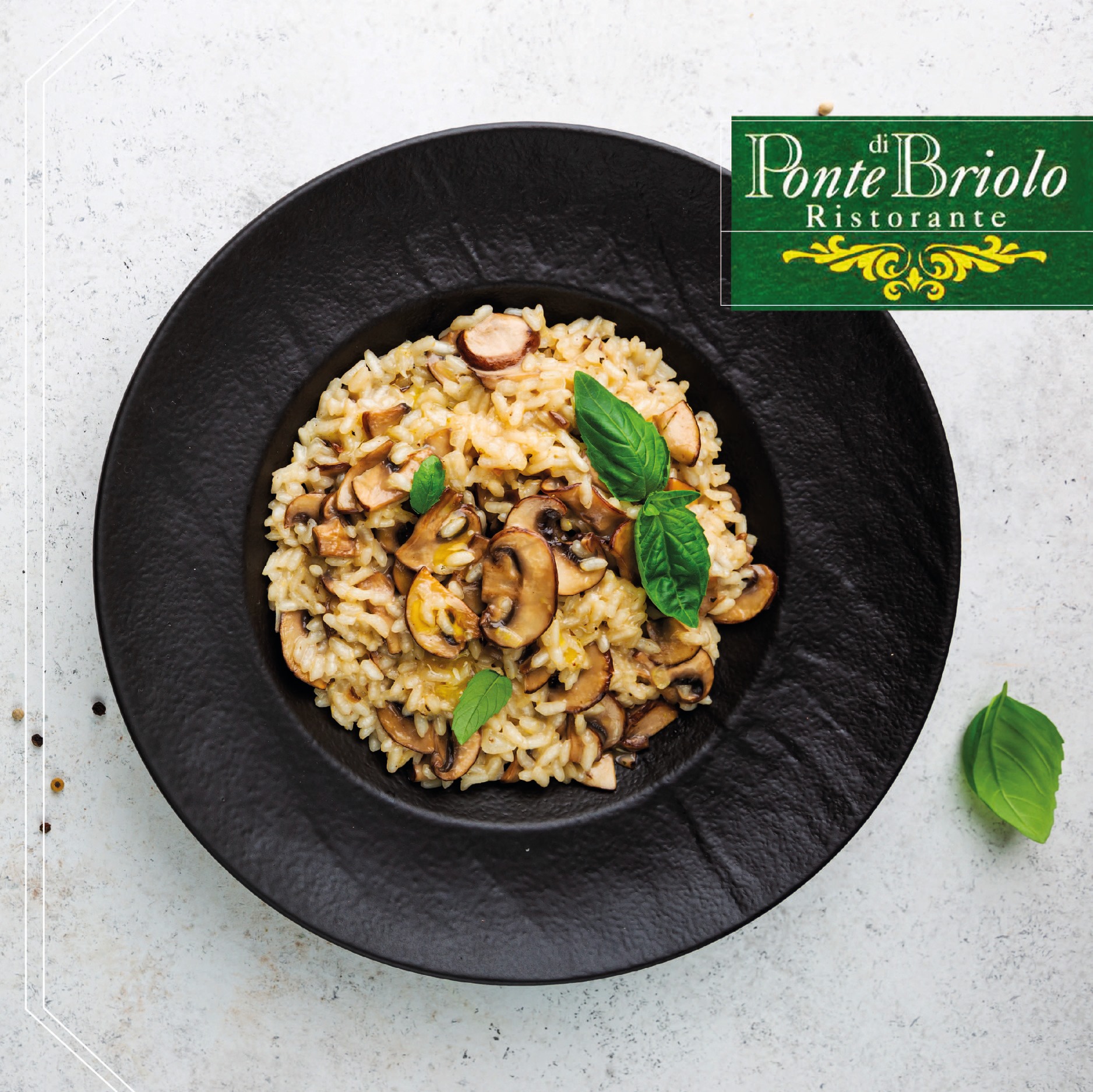 121691858_3560151830712253_3876686397384960555_n