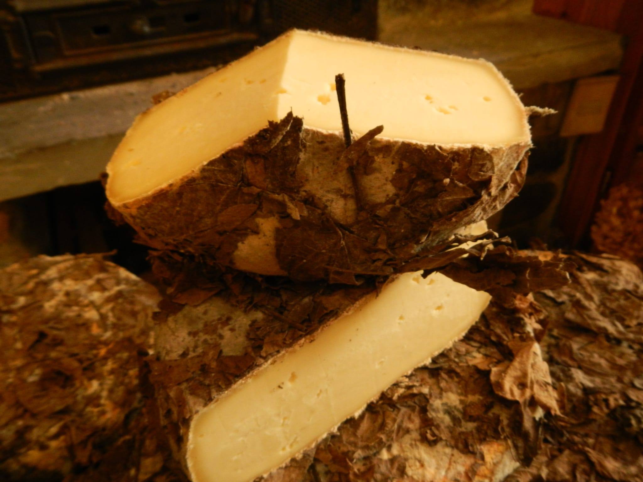 127088865_1546266588890948_5838712330814899907_n