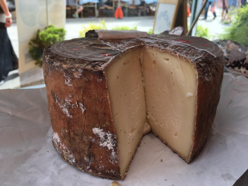 13729069_1407922845891350_8819607672780118571_n