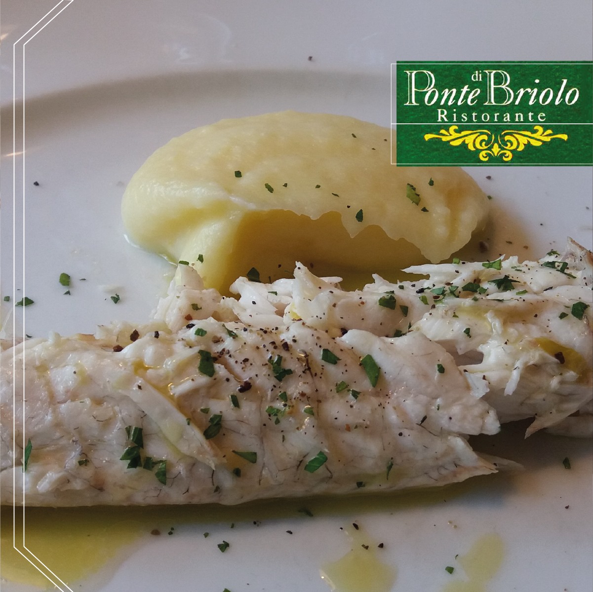 229760946_4380150492045712_6288812296617276302_n