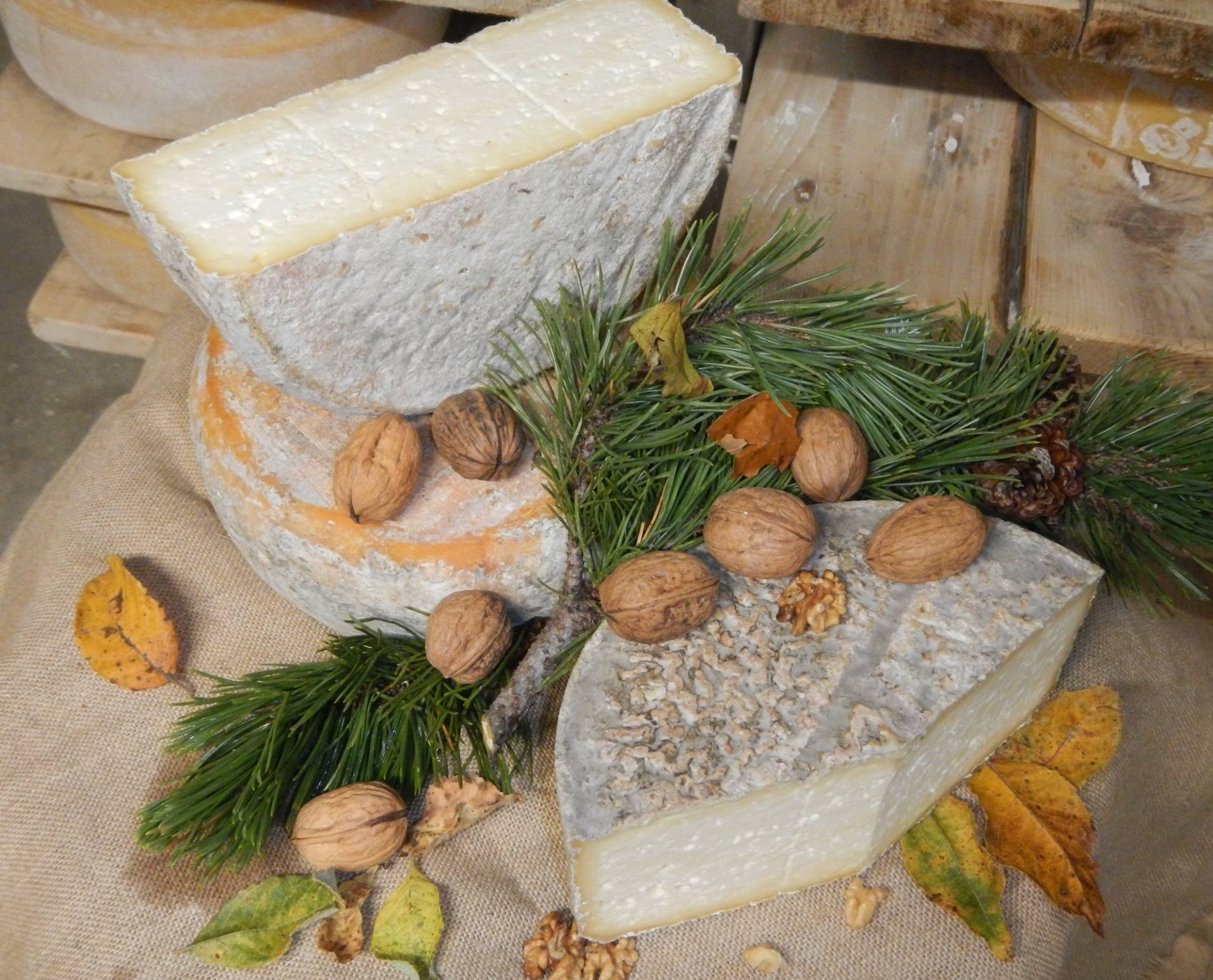 23405706_762043877313227_8111520460928366537_o