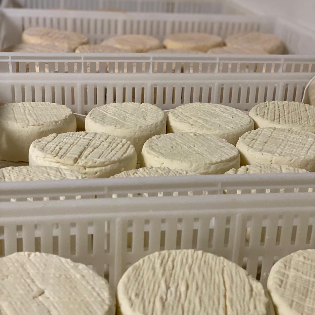 277537279_1575485112835735_8281670884299112682_n