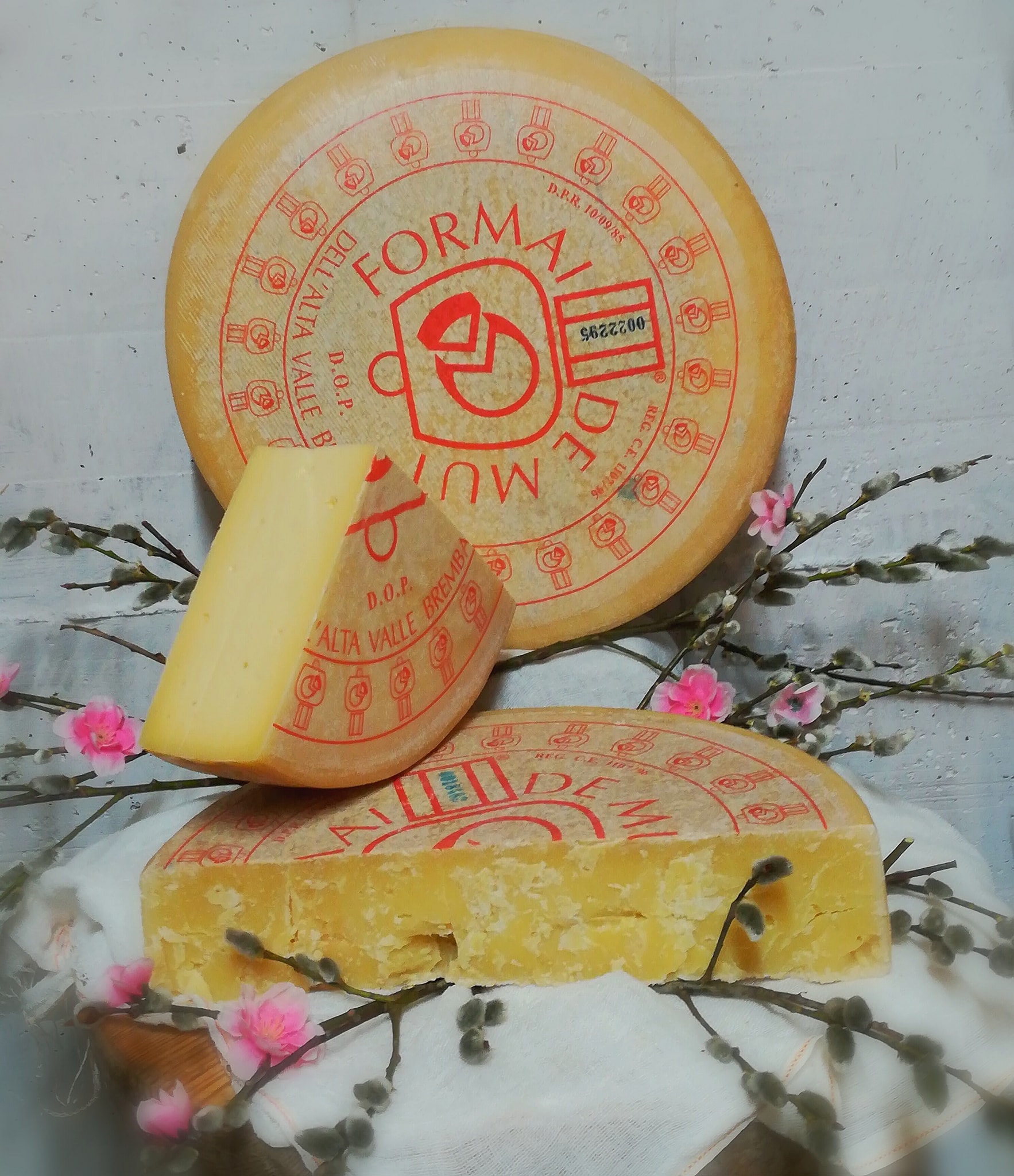 29214930_817534705097477_2217666458748452864_n