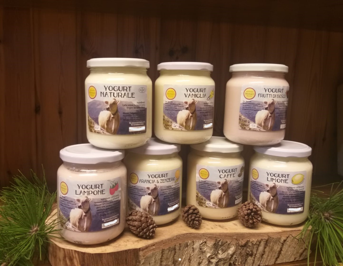 293618114_1975265295991073_2129007290976387224_n