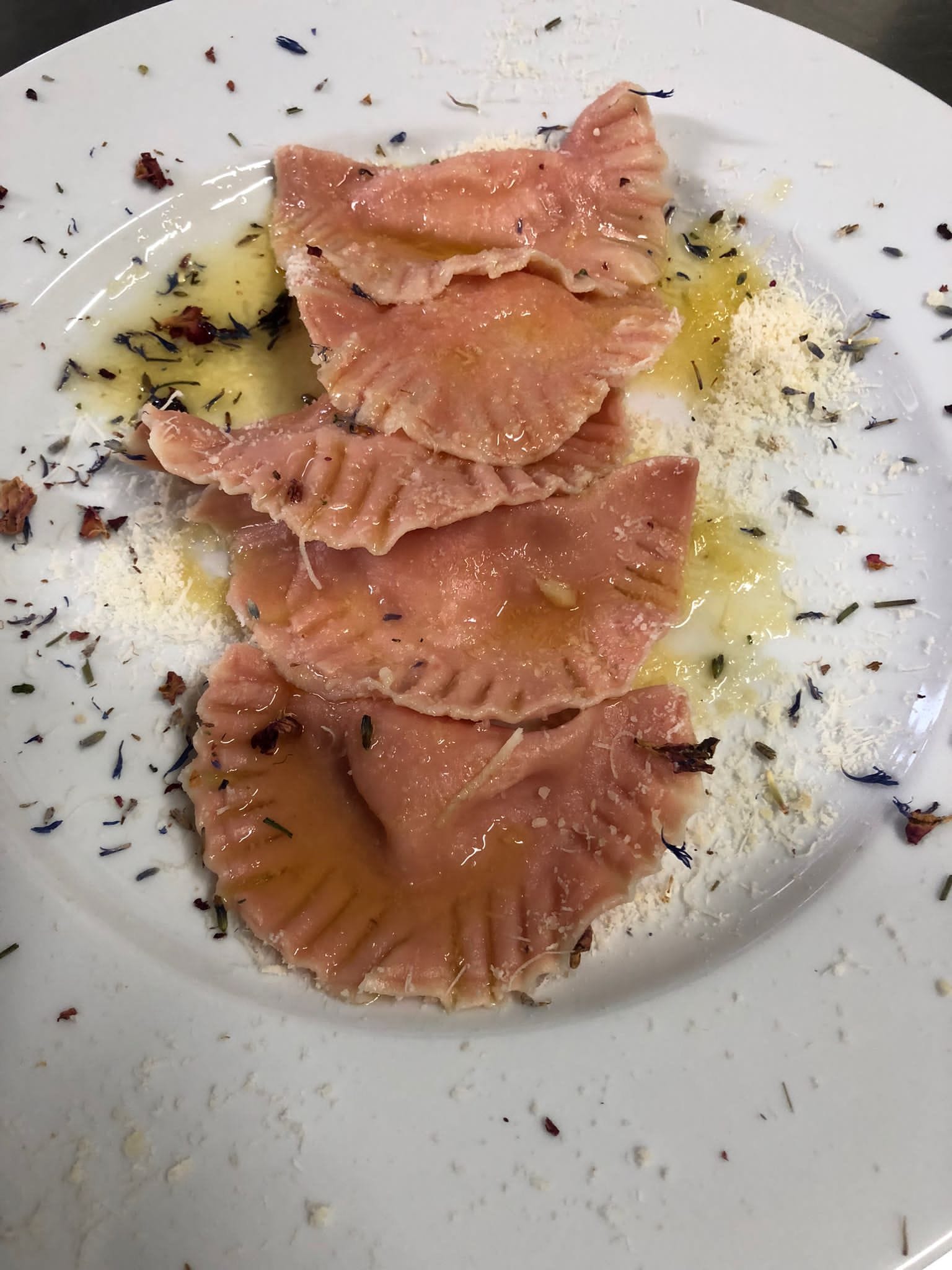 311615353_548405877287631_2629925051412141914_n