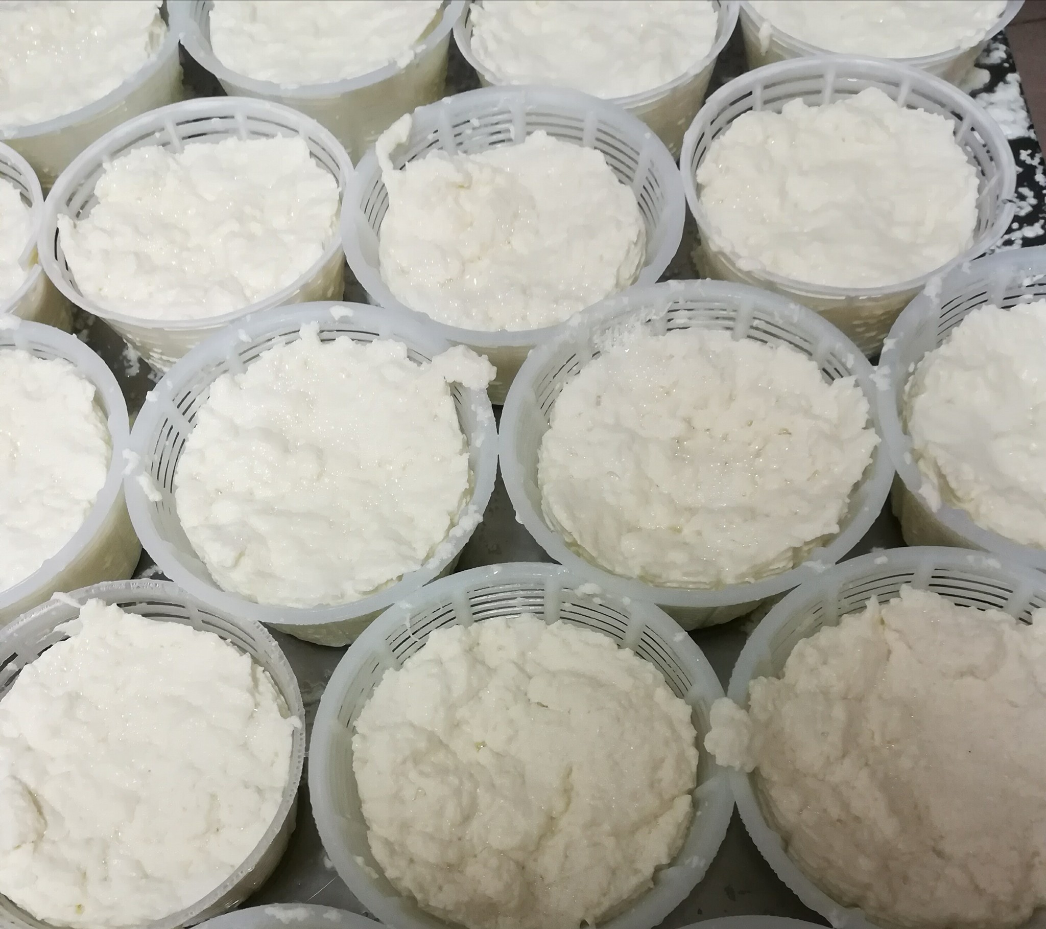 33505954_849275408590073_4657740076569067520_n