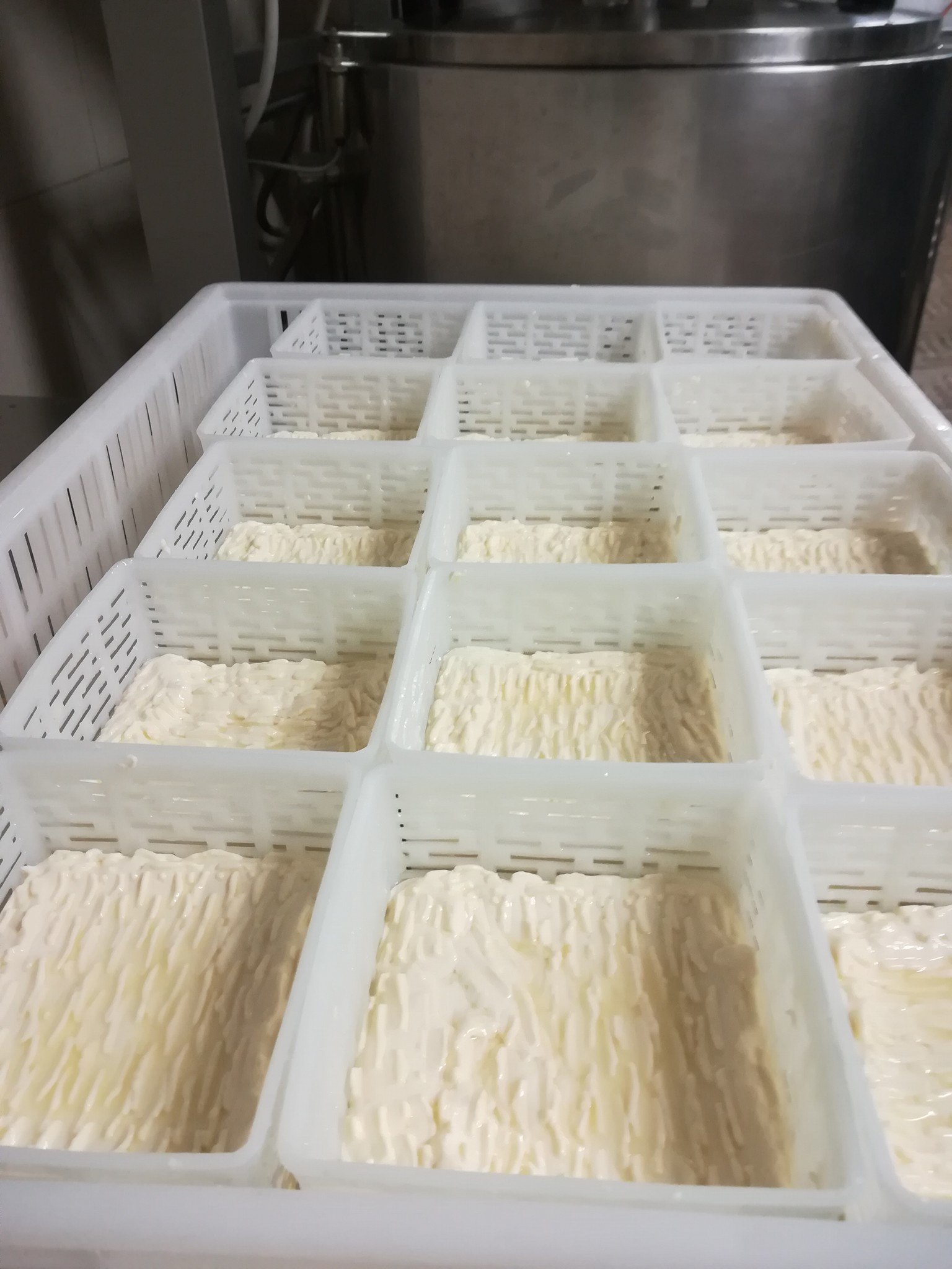 33665893_849275248590089_6430516247791665152_n