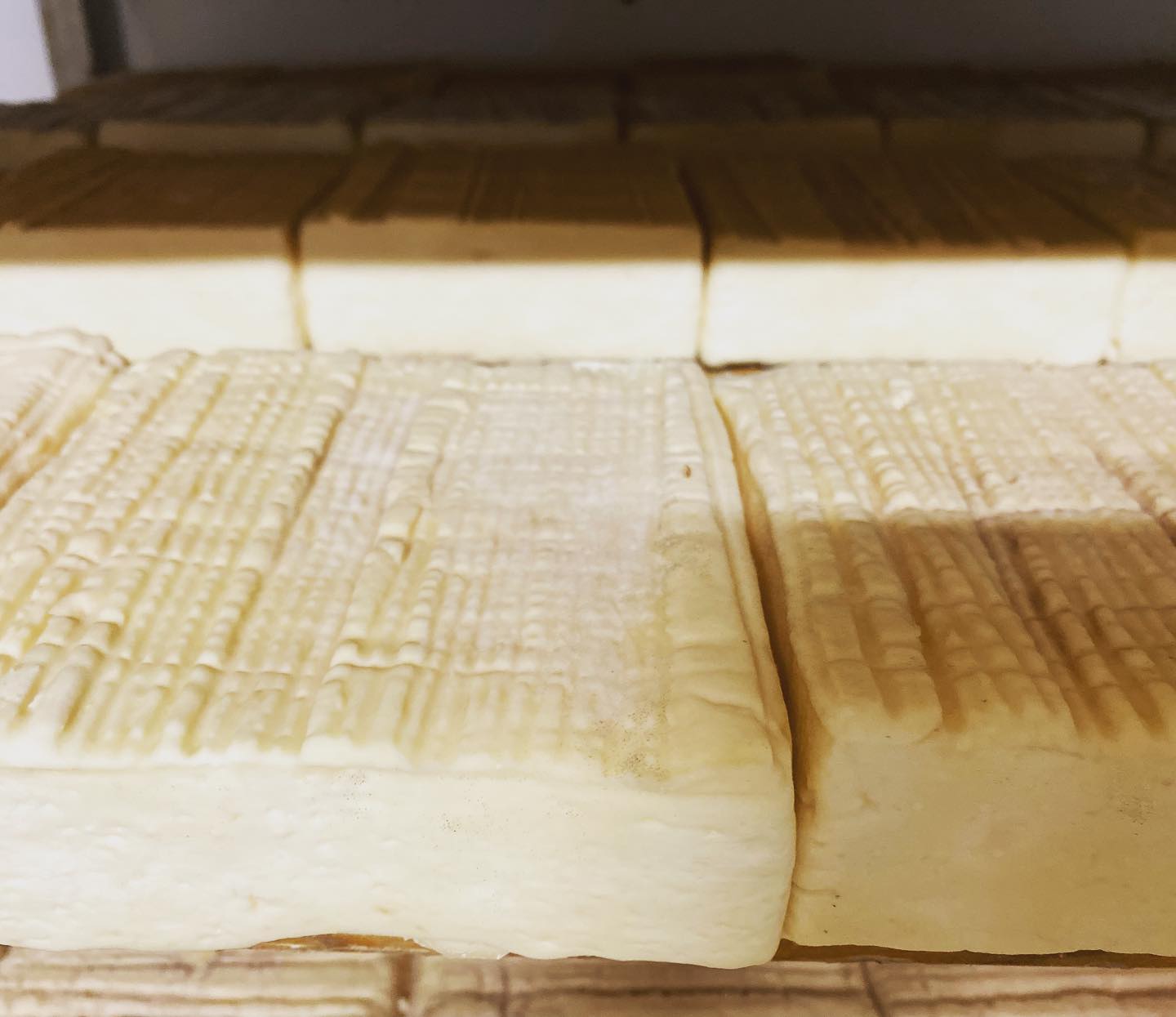 355849077_744190904373239_3965793595935706689_n