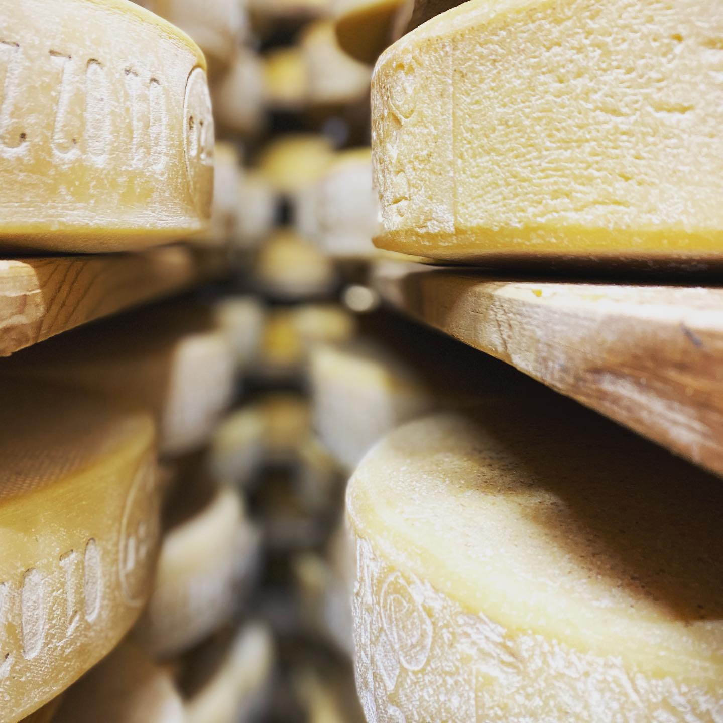 376263720_17997303110129824_127139021061248205_n