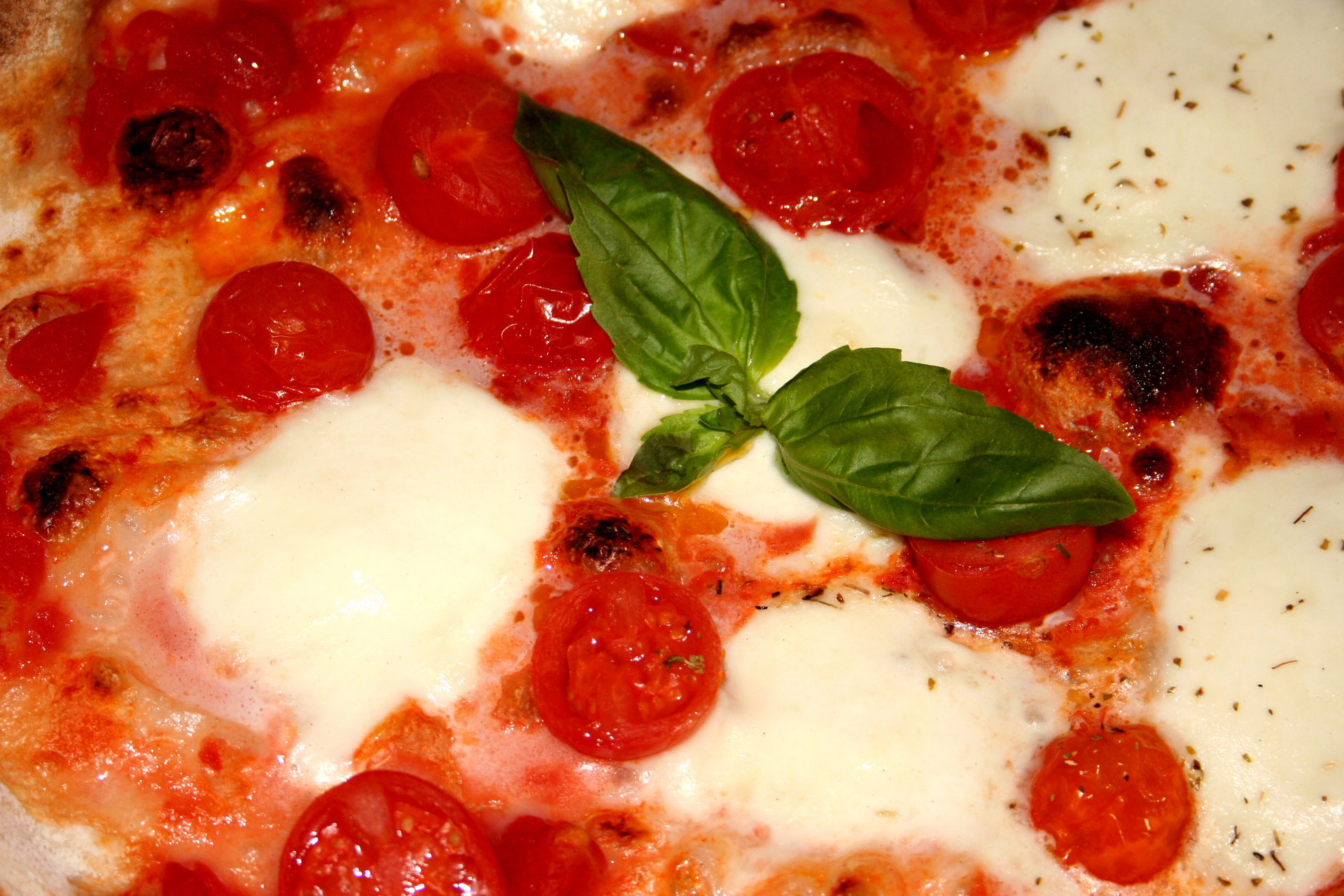 AllegatiArticolo_206_M